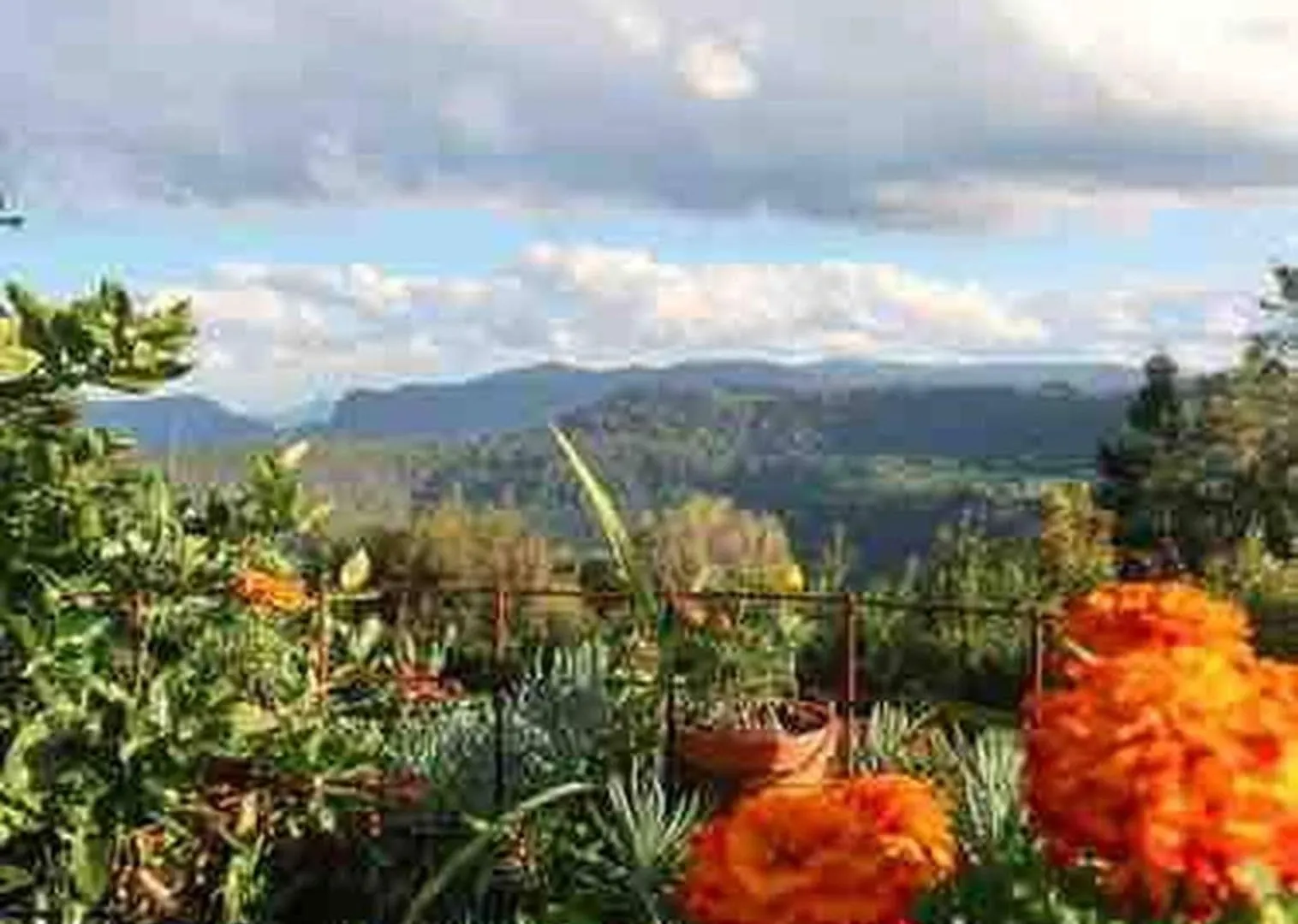 Jardin Tiny House Australia Villa Beechmont Holiday home