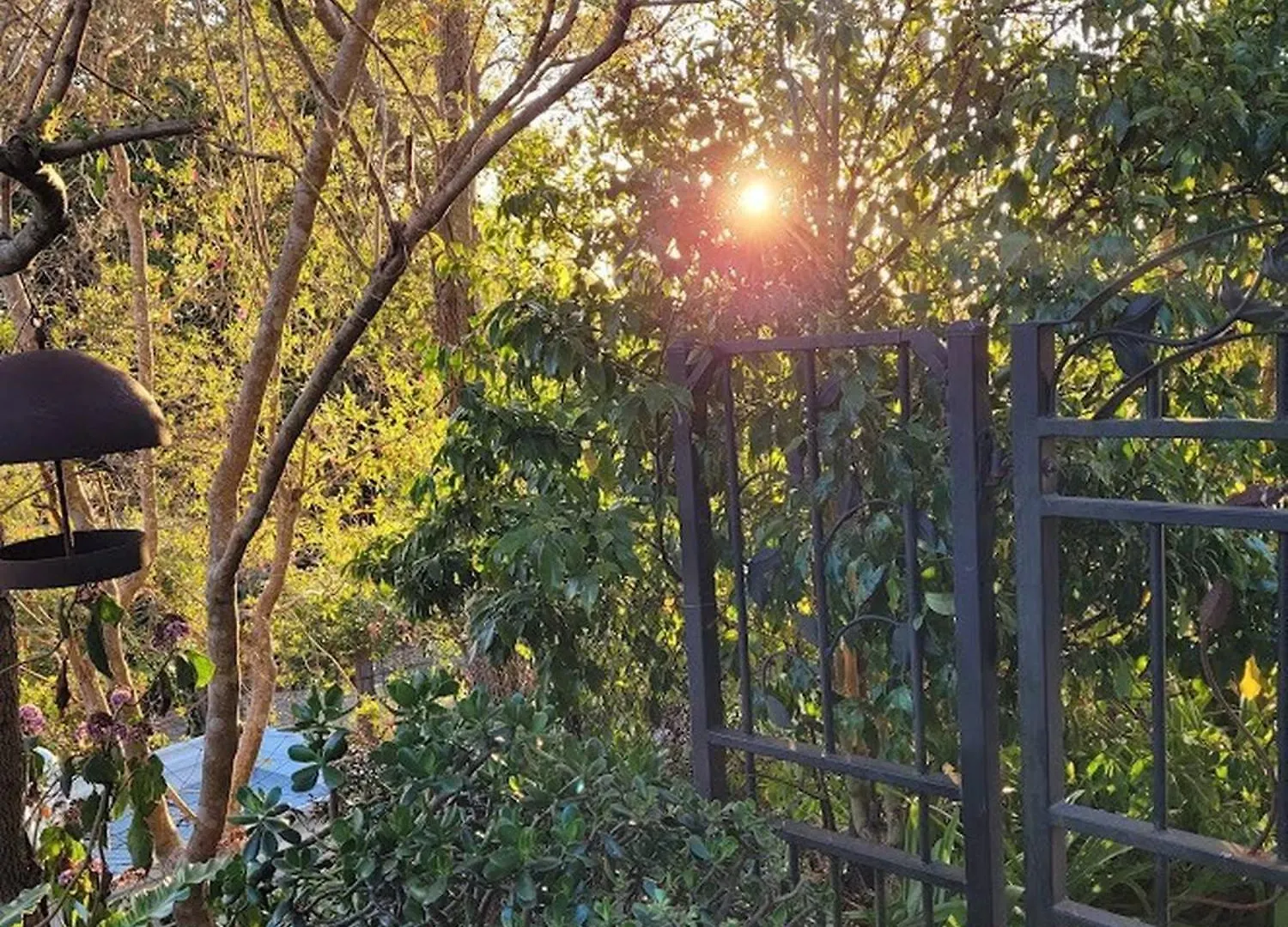 Jardin Tiny House Australia Villa Beechmont Holiday home