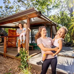 Binna Burra Rainforest Campsite Campsite